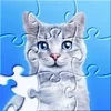 Jigsaw-Puzzles-na-android